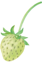 苺の画像
