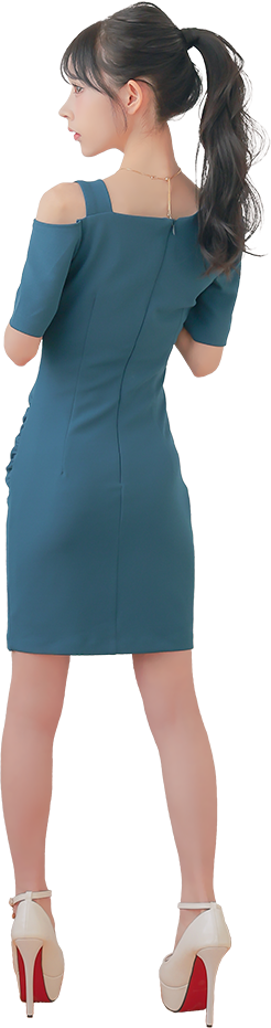 ドレス全身着用画像、バック