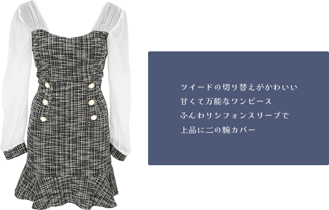 ドレス切り抜きとドレスの説明