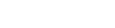 ドレスのポイント説明