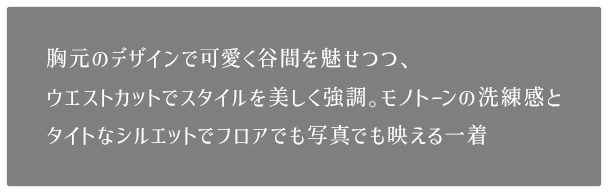 ドレスのポイント説明